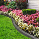 A vibrant garden with pink and white flowers lines a curved stone border. Lush green grass leads to a house exterior, creating a serene, colourful scene.