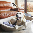 Rosewood All Seasons Mattress, Medium - Grey Dog Print