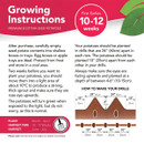 Growing instructions for Premium Scottish Seed Potatoes, optimal for planting in March-April and harvesting in June-July. Directions include spacing potatoes 24 inches apart and planting 10 inches apart within rows at a depth of 4-6 inches. Includes preparation tips and a diagram illustrating how to create planting drills.