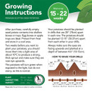 Instructions for growing premium Scottish seed potatoes include temperature and spacing guidelines. A diagram illustrates planting drills, with potatoes 12-15 inches apart and eyes facing up. The planting season is March to April, with harvest in June to July.