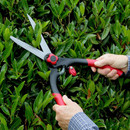 Darlac DP300 Classic Shear
