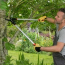 Gardener using long-handled loppers to prune a tree branch in a leafy garden.
