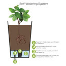 Diagram of a self-watering planter shows a plant with roots in soil above a water reservoir. Arrows indicate water flow. Four features are labelled.