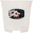 Growth Technology Orchid Pot, 17cm - Clear