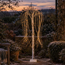 Illuminated weeping willow tree in a snow-dusted garden at dusk.