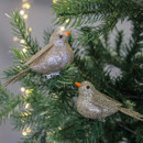 Two glittery gold bird ornaments with orange beaks clipped onto a green Christmas tree branch, surrounded by soft, glowing fairy lights.