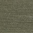 Wendy Aran with Wool, 800m - Twig
