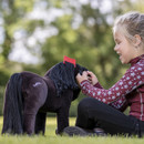 Mini LeMieux Toy Pony - Freya