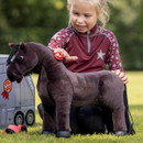 Mini LeMieux Toy Pony Grooming Kit