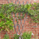 Smart Garden Heavy Duty Expanding Fan Trellis, Slate Grey - 1.8 x 0.9m,