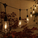 Edison-style festoon string lights hanging in gentle loops, lit warmly against a brick wall with garden plants below.