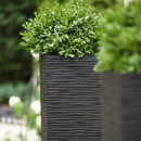 A green shrub in a tall, textured, dark grey planter set in a garden. The background is blurred, creating a calm and natural atmosphere.