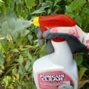 A gloved hand sprays "Fungus Clear Ultra 2" on green leaves. The spray bottle has a red and yellow nozzle, conveying a sense of action and gardening care.