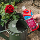 Westland Rose 2 in 1 Feed & Protect - 2 x 500ml