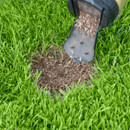 A sprinkle spreader dispenses soil and seeds onto a bare patch of vibrant green grass, suggesting lawn repair and growth.