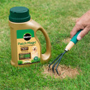 A hand uses a garden cultivator on a brown patch in a green lawn. Beside it, a container of "Miracle-Gro Patch Magic" for repairing dog spots.