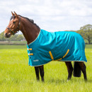 Horse wearing Shires Tempest Original 50g turnout rug in blue standing in a grassy field during mild weather