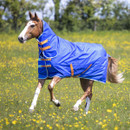 Horse wearing Shires Tempest Original 50g Combo turnout rug in royal blue, shown moving in a spring meadow