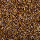 Johnston & Jeff Dried Mealworms - Multiple Sizes Available