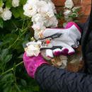 Wilkinson Sword Precision Pruner Twin Pack