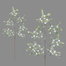 Illustration of two mistletoe branches with green leaves and white berries on a gray background, conveying a festive and natural tone.