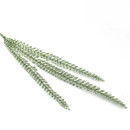 Green Glittered Regency Fern Stem on a white background