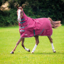 A brown horse wearing a maroon coloured combo rug.