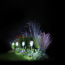 Stainless steel stake lights lighting a small garden bed with grasses and plants against a dark background.