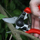 Darlac DP1034 Expert Fine Bypass Pruner