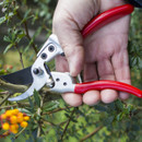 Darlac Expert DP1032 Medium Bypass Pruner
