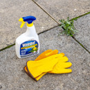 A bottle of weed killer and yellow gloves sit on grey paving slabs next to a small green weed, conveying a ready-to-work gardening theme.