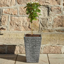 Strata Slate Tall Planter, Pewter - 30cm
