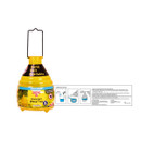 Zero In Honeypot Wasp Trap