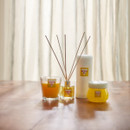 Zero In 30-Day Gel Diffuser