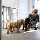 DogSpace Charlie Extra Tall Extending Heavy Duty Pet Gate - 62.5cm - 106.8cm