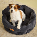Small brown and white terrier sitting in a Joules Chesterfield grey velvet dog bed. Small brown and white terrier sitting in a Joules Chesterfield grey velvet dog bed.