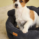 Close-up of terrier resting in the Joules Chesterfield plush grey dog bed. Close-up of terrier resting in the Joules Chesterfield plush grey dog bed.