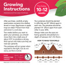 Instructions for planting Scottish seed potatoes. Plant in egg or apple trays, then in drills 24 inches apart, spaced 10 inches individually. Ensure eyes face up, plant at 4-6 inches deep. Harvest in 10-12 weeks, March to July. Diagram shows drill layout.