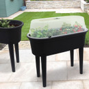 Mini Greenhouse Plant Seeding Table - Anthracite