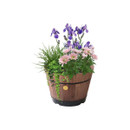 VegTrug Build-a-Barrel Kit, 37cm - Dark Brown VegTrug Build-a-Barrel Kit, 37cm - Dark Brown