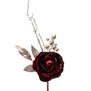 Rose Pick on a white background