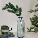 Green pine branch stem on a white background