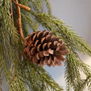 1.8m Pinecone Garland