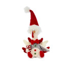 A sitting turkey with a red Santa hat.