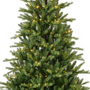 Detailed view of a pre-lit Christmas tree showcasing dense branch coverage, realistic needle textures and evenly distributed warm white lights.