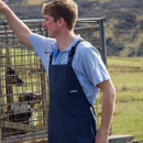 A person in a blue apron stands near an animal enclosure with two dogs, in a rural landscape. The scene conveys a sense of working outdoors. A person in a blue apron stands near an animal enclosure with two dogs, in a rural landscape. The scene conveys a sense of working outdoors.