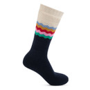 A navy stripy pair of socks