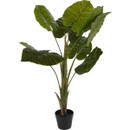 A green artificial Philodendron house plant in a black pot.
