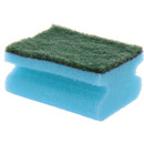 A blue scouring sponge.