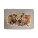 Three fluffy Highland cows with tousled hair huddle closely together on a textured grey background, conveying warmth and companionship.
